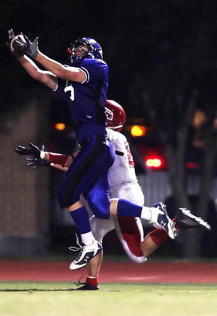 的监管效果 的监管效果