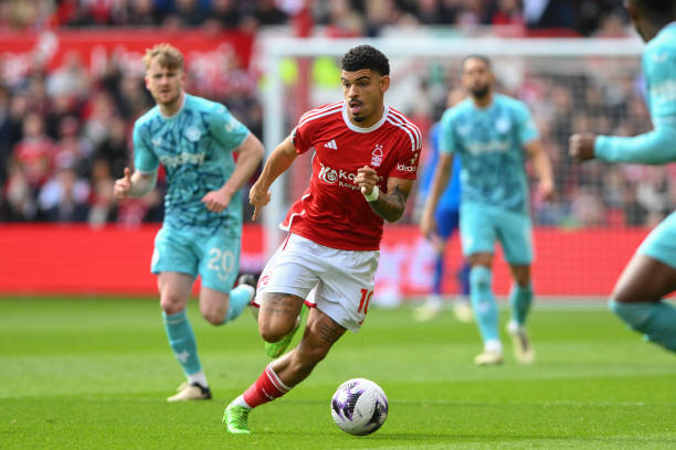 匠心独具 匠心独具